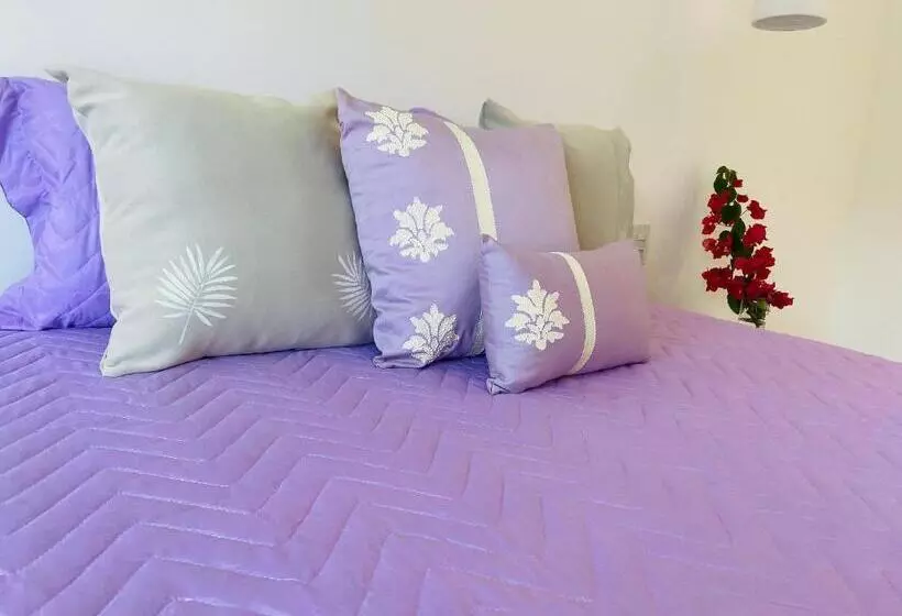 Bela Araçaípe Moderna E Confortável Com Piscina Exclusiva