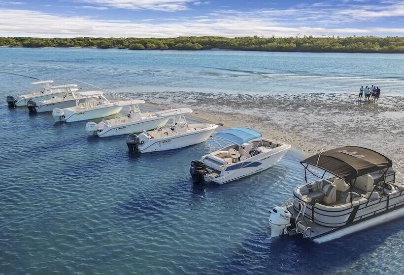 Отель The Pointe