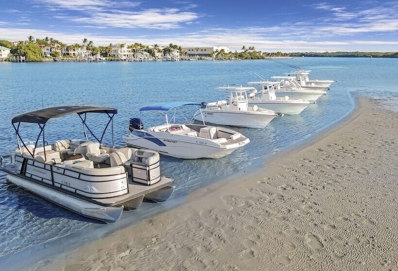 Отель The Pointe