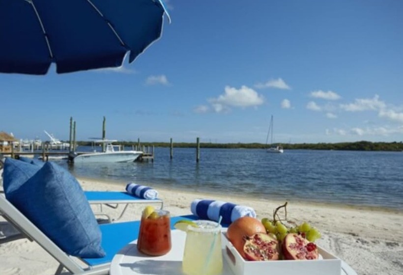 Отель The Pointe