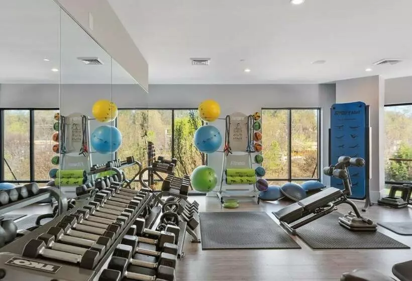 Kasa Dilworth Charlotte