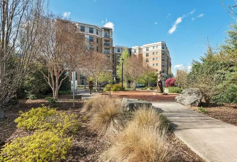 Kasa Dilworth Charlotte