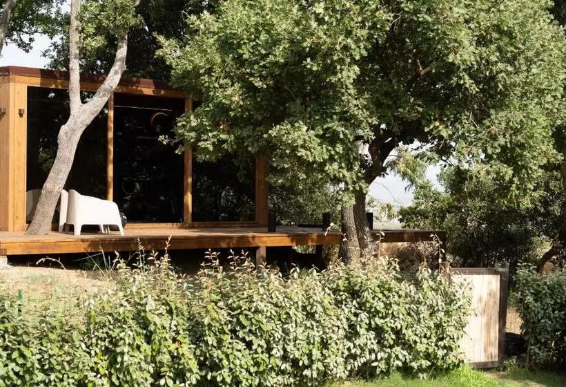 Hang Loose Cottage Hotel & Resort Gizzeria Calabria