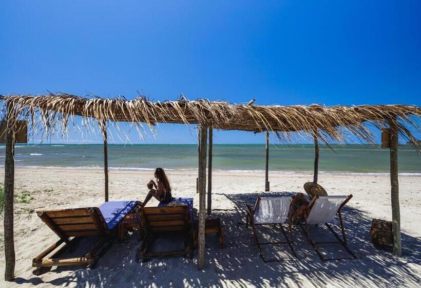 Vila Pithaya   Casa Pithaya