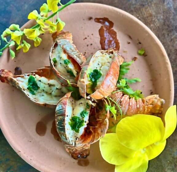 Vila Pithaya   Casa Pithaya