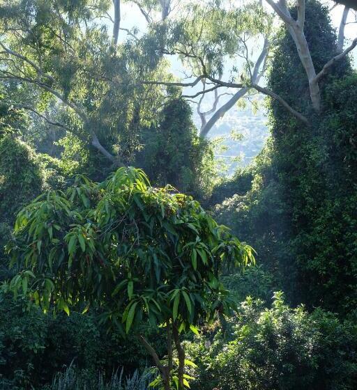 Hughes Hideaway   2br Cottage On 1 Acre W Air Con, King Beds