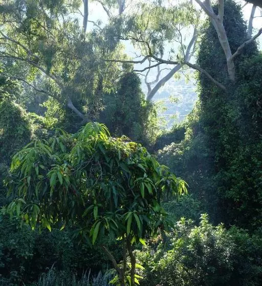 Hughes Hideaway   2br Cottage On 1 Acre W Air Con, King Beds