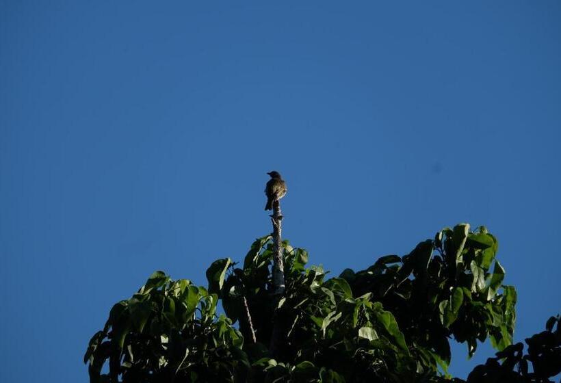 Hughes Hideaway   2br Cottage On 1 Acre W Air Con, King Beds