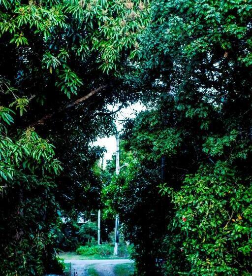 Hughes Hideaway   2br Cottage On 1 Acre W Air Con, King Beds