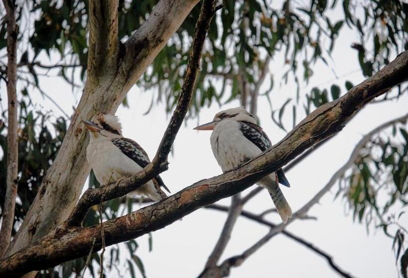 Hughes Hideaway   2br Cottage On 1 Acre W Air Con, King Beds