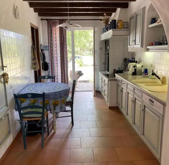Maison Zouz