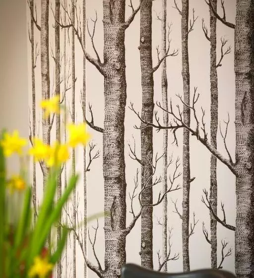 Stadtnest Malchow   Für 2 12 Personen In Der Inselstadt   Mecklenburgische Seenplatte