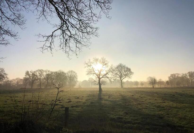 Gut Strackholt Fewo Seemannsgarn