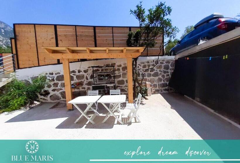 Pension (Hôtel basse catégorie) Blue Maris