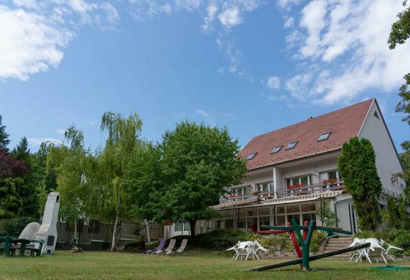 بنسيون Sylvia Ház