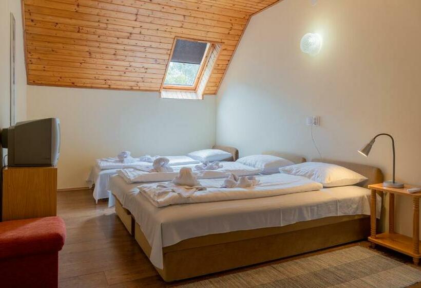 بنسيون Sylvia Ház