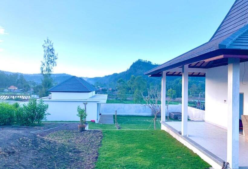 住宿加早餐 Volcano Side Kintamani Bali