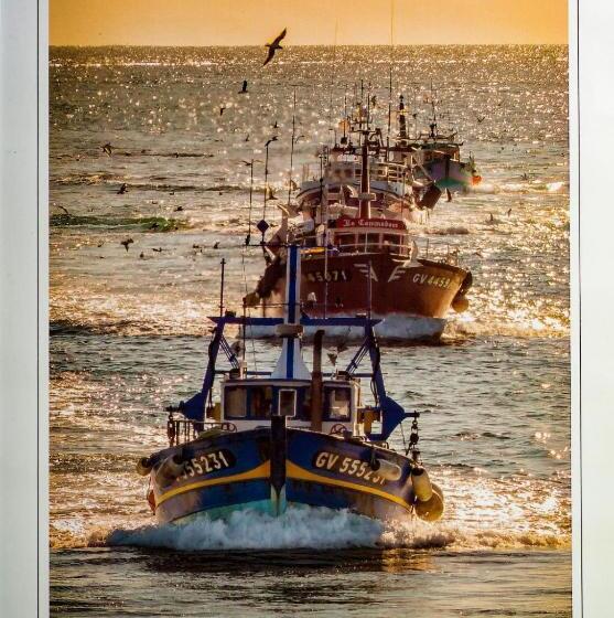 La Ballenita De Tarifa
