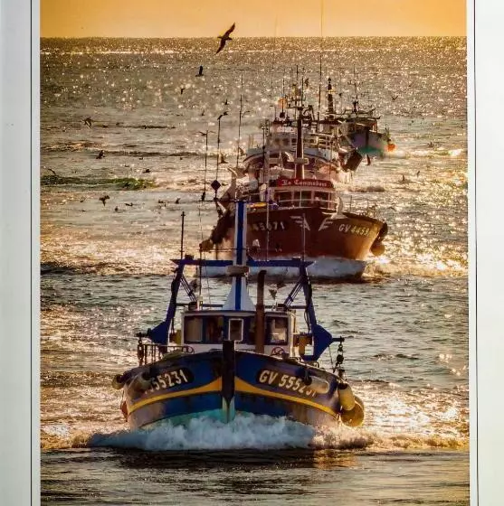 La Ballenita De Tarifa