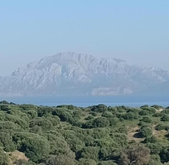 La Ballenita De Tarifa