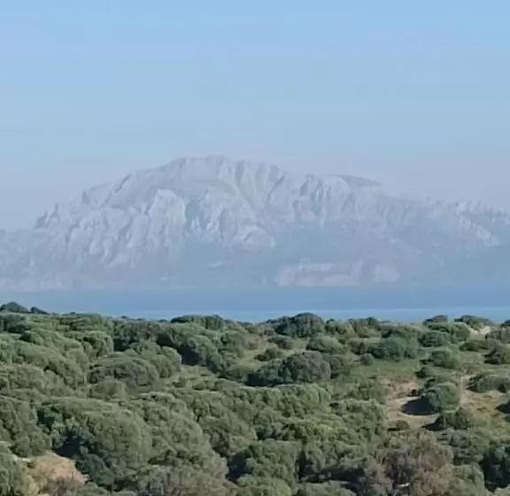 La Ballenita De Tarifa