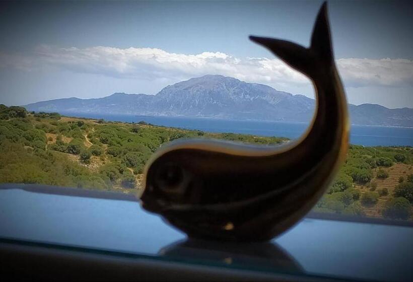 La Ballenita De Tarifa