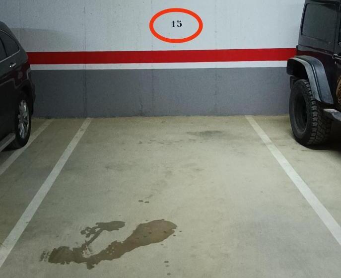 La Ballenita De Tarifa