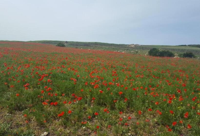 پانسیون Dar Ines