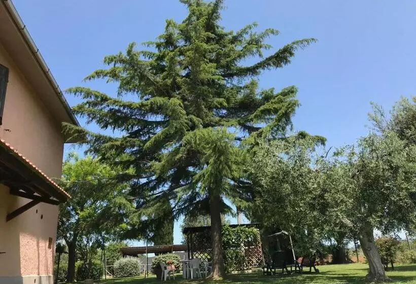 ベッドアンドブレックファースト Agriturismo San Francesco