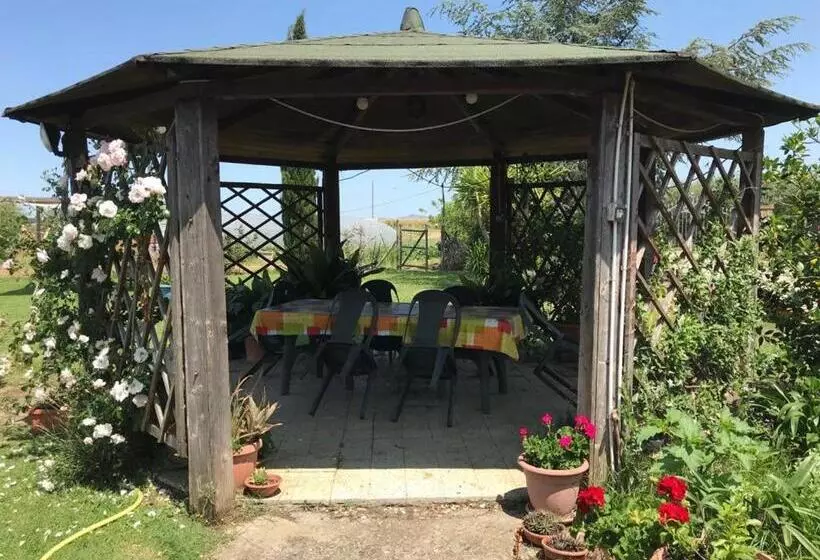ベッドアンドブレックファースト Agriturismo San Francesco