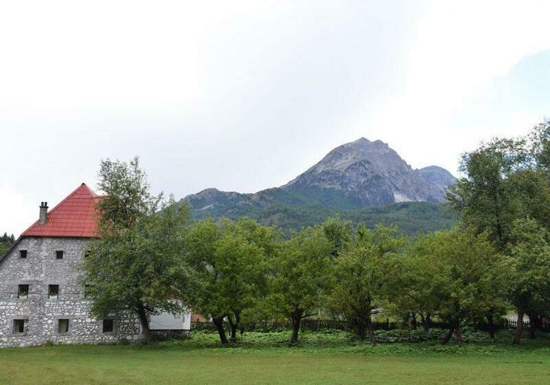 تختخواب و صبحانه Guesthouse Jezerca