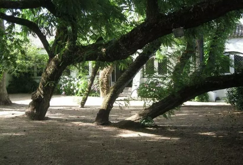 ホテル Quinta De São José
