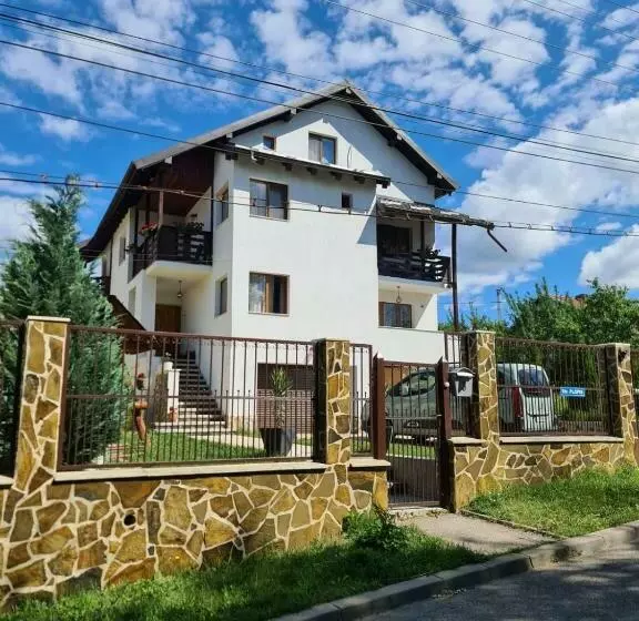 ペンション Vila San Nicoara
