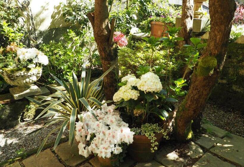 Bed and Breakfast Casa Ella