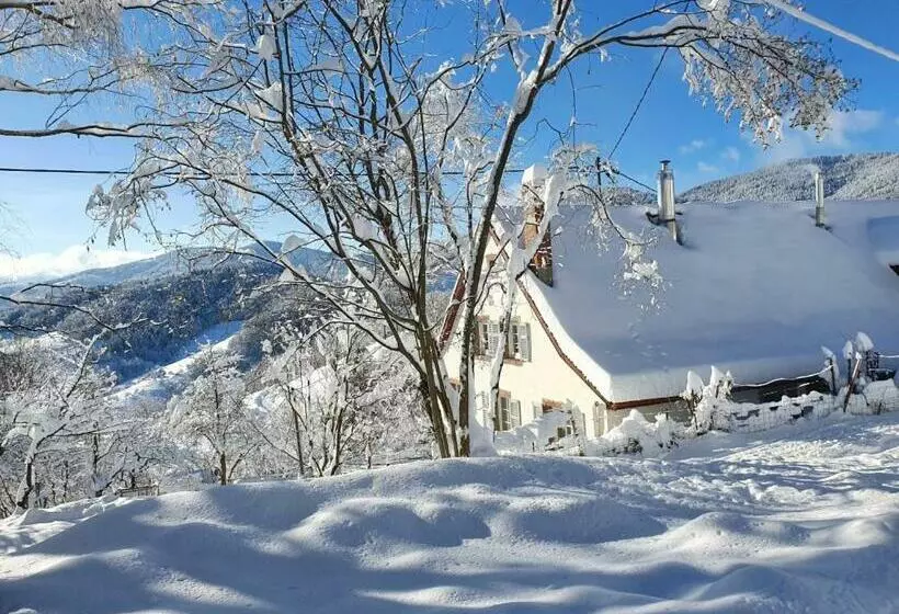 Aamiaismajoitus (B&B) Le Nid Du Kaloui