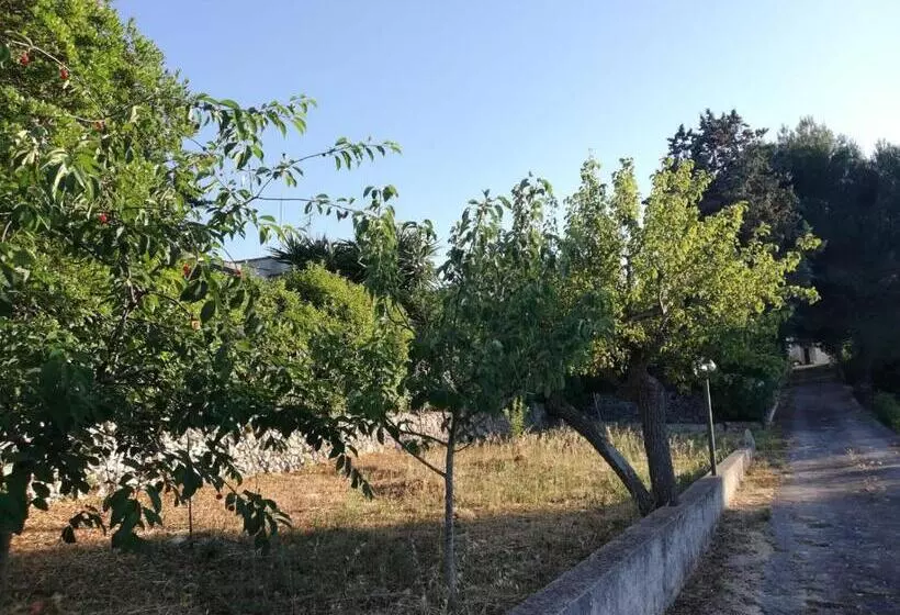 Ciao B&b