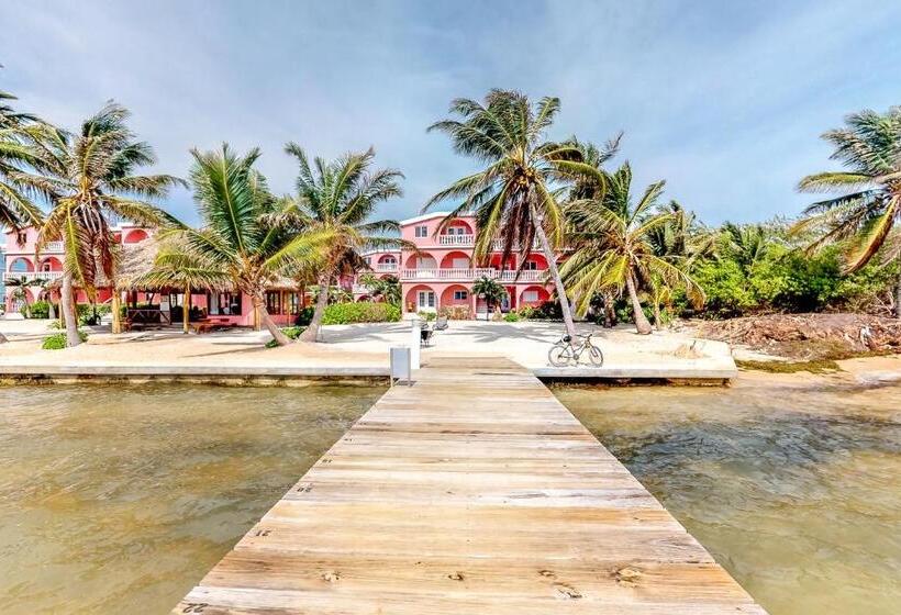 هتل Palm @ Caribe Island