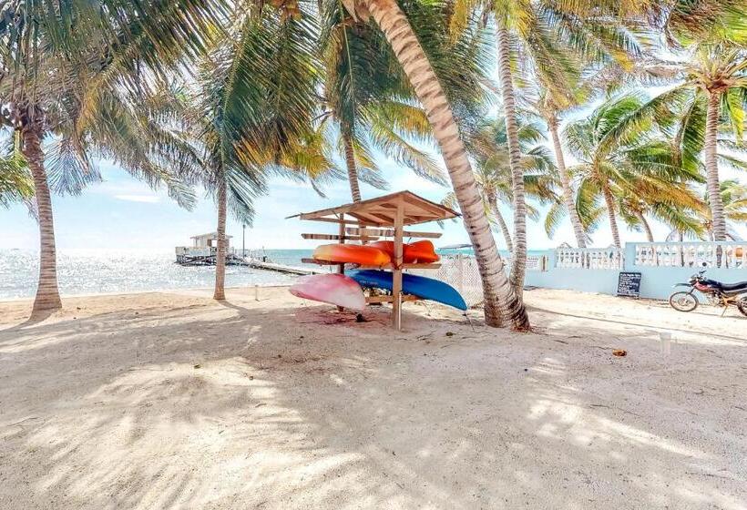 هتل Palm @ Caribe Island