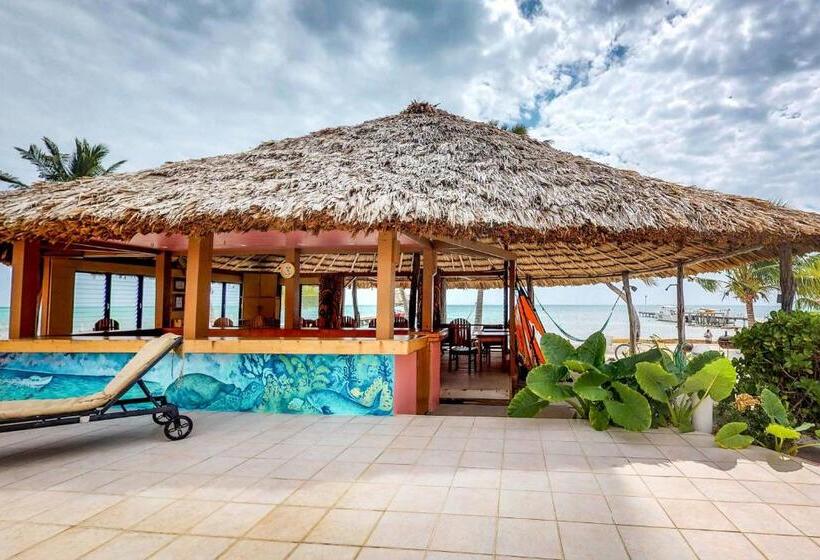 هتل Palm @ Caribe Island