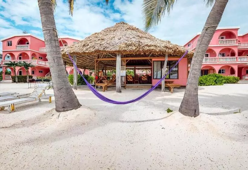 ホテル Palm @ Caribe Island