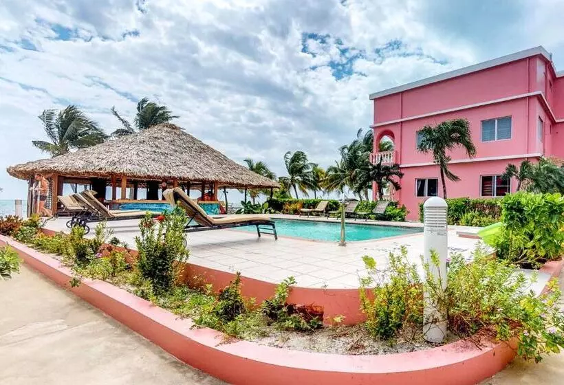 ホテル Palm @ Caribe Island