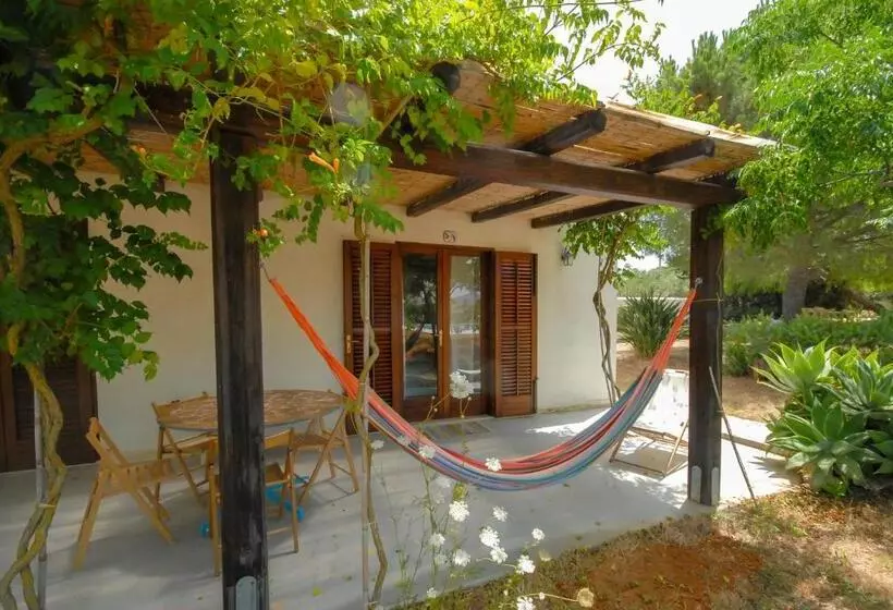 تختخواب و صبحانه Nômade   Slow Living Lodge