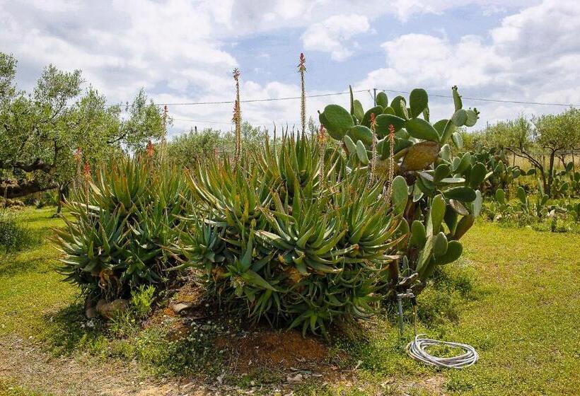 צימר Nômade   Slow Living Lodge