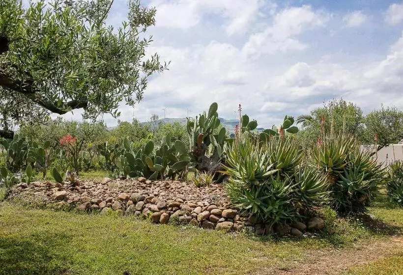 تختخواب و صبحانه Nômade   Slow Living Lodge