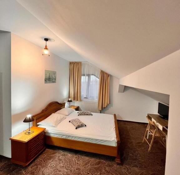 펜션 Vila Alsace Podu  Cu Lanturi