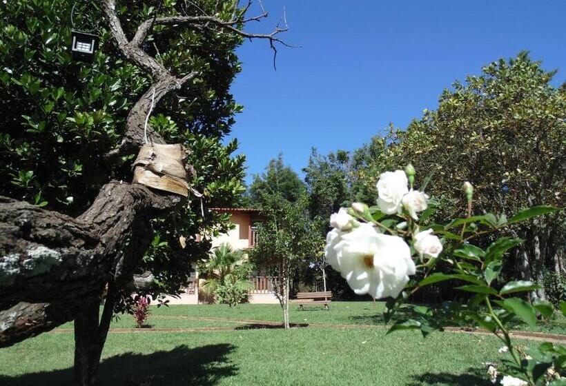 فندق صغير Pousada Namaste