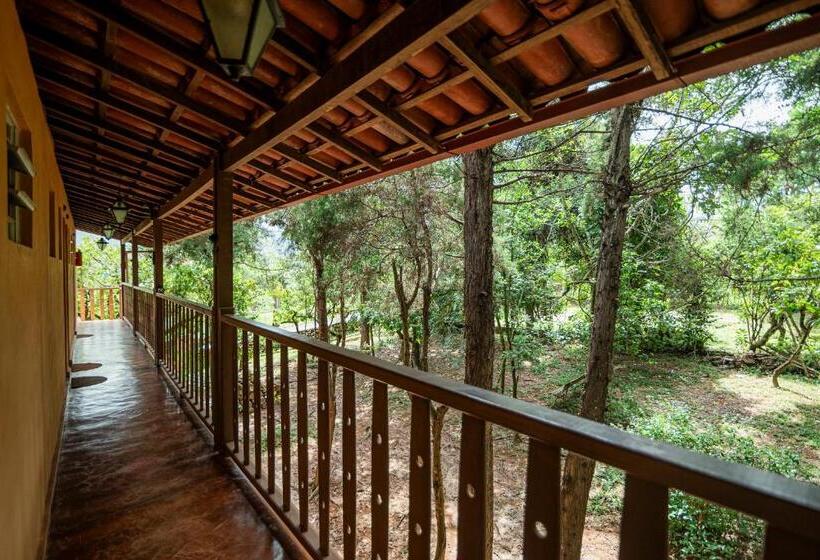 فندق صغير Pousada Namaste