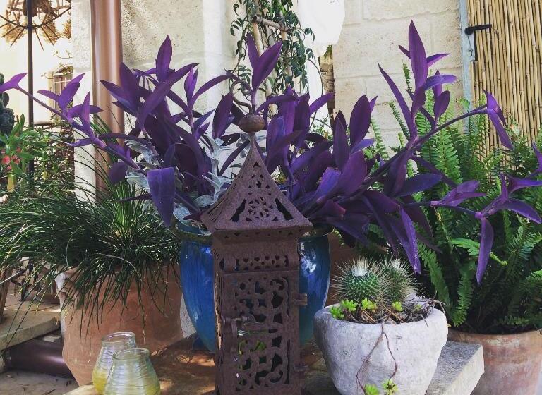 住宿加早餐  Casa Della Scrittrice