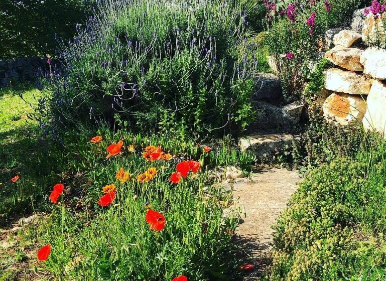 住宿加早餐  Casa Della Scrittrice