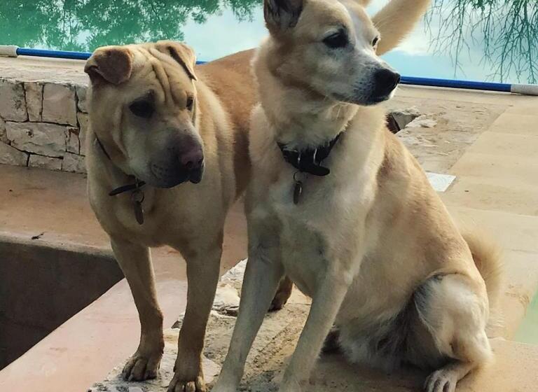 住宿加早餐  Casa Della Scrittrice